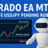 Prado Ea Mt4 Safe Usdjpy Pending Robot